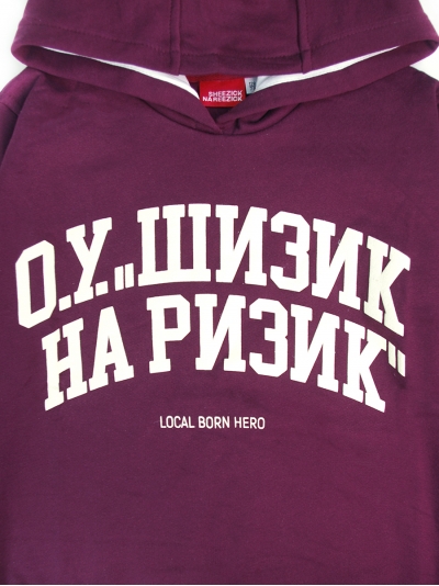 Dnevnik, kids hoodie