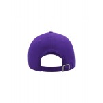 Cosmic Skate Club, dad’s cap